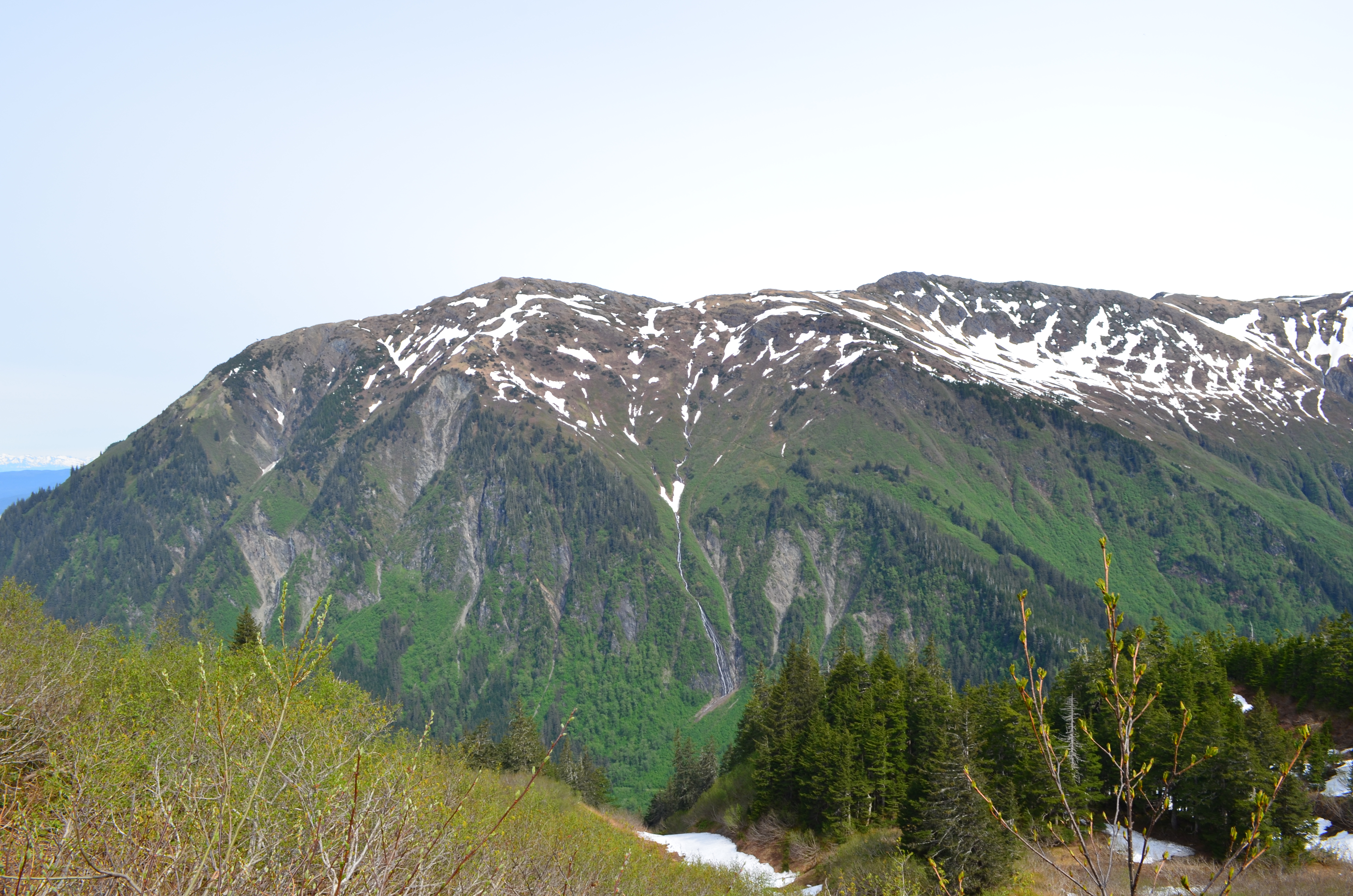 ./2017/08 - Alaska Cruise/08 - Juneau/DSC_0919.JPG